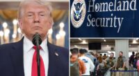 Trump orders DHS to pay âeach and every employeeâ as shutdown drags on